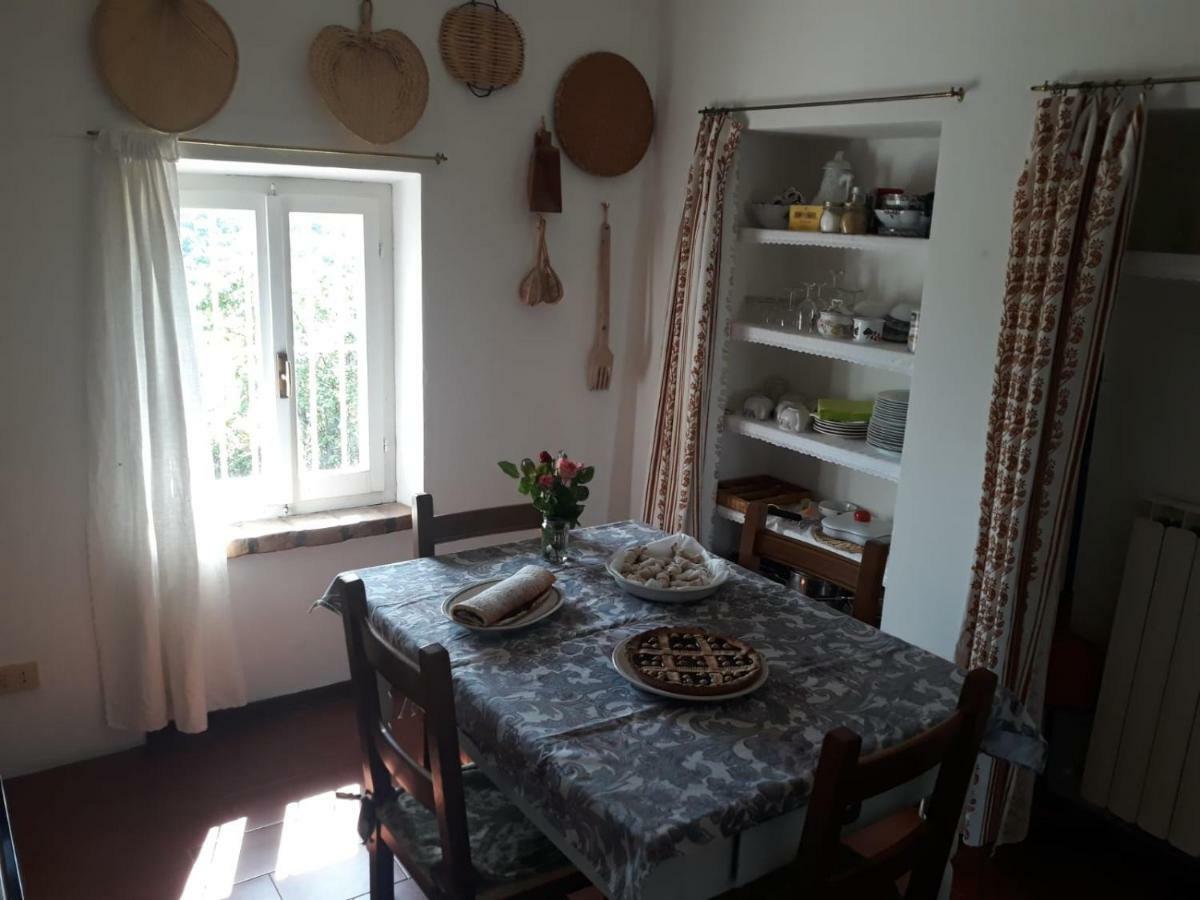 B&B I Canonici Urbino Zewnętrze zdjęcie