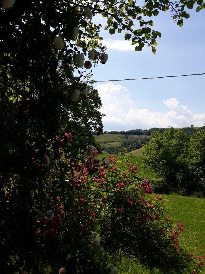 B&B I Canonici Urbino Zewnętrze zdjęcie